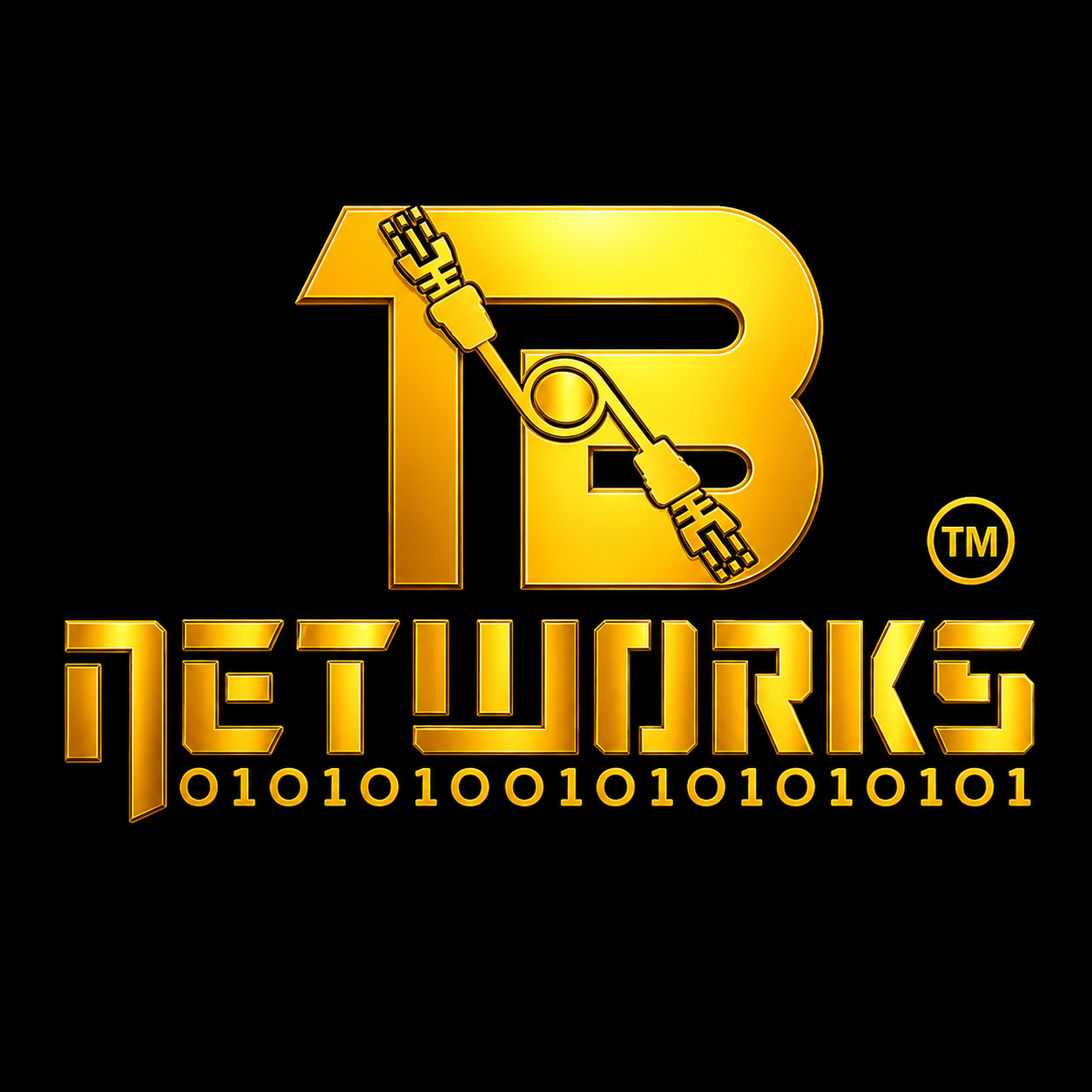 Tungabadra Networks logo